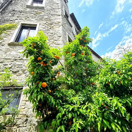 Castellana House Lägenhet Ascoli Piceno