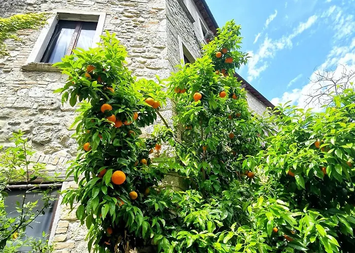 Casa Castellana 公寓 阿斯科利皮切诺